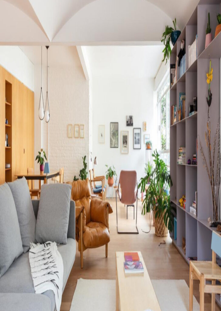 plantas-para-sala-85