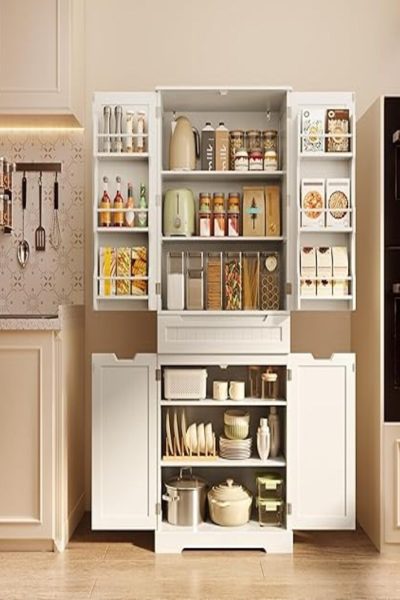 81SEwsVPD8L._AC_SY450_ (1)